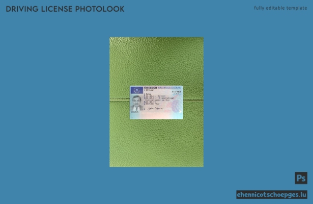 Deutscher Führerschein 2021-heute: Beispielvorschau für die Fotoansicht